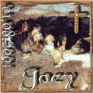 2001-08-01 = Joey.jpg